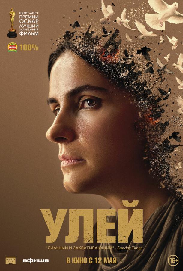 Фильм Улей (2021) смотреть онлайн в хорошем качестве 1080p